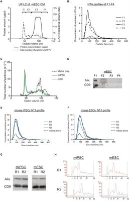 Considerations and Implications in the Purification of Extracellular Vesicles – A Cautionary Tale